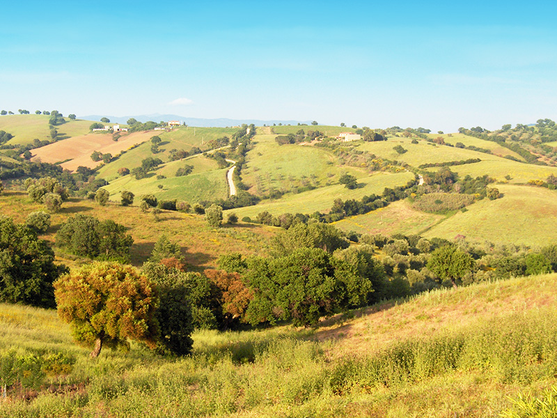 agriturismo campagna maremma toscana grosseto poggio al vento
