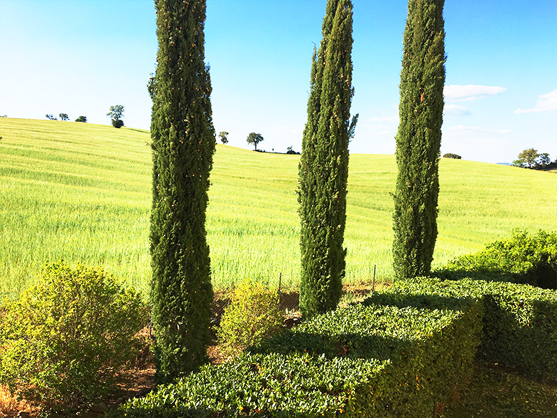 paesaggi agriturismo maremma